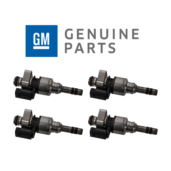 4x Fuel Injector Kit Set for Holden Astra BK K 1.6L LWC 17-20 1.6 Turbocharged