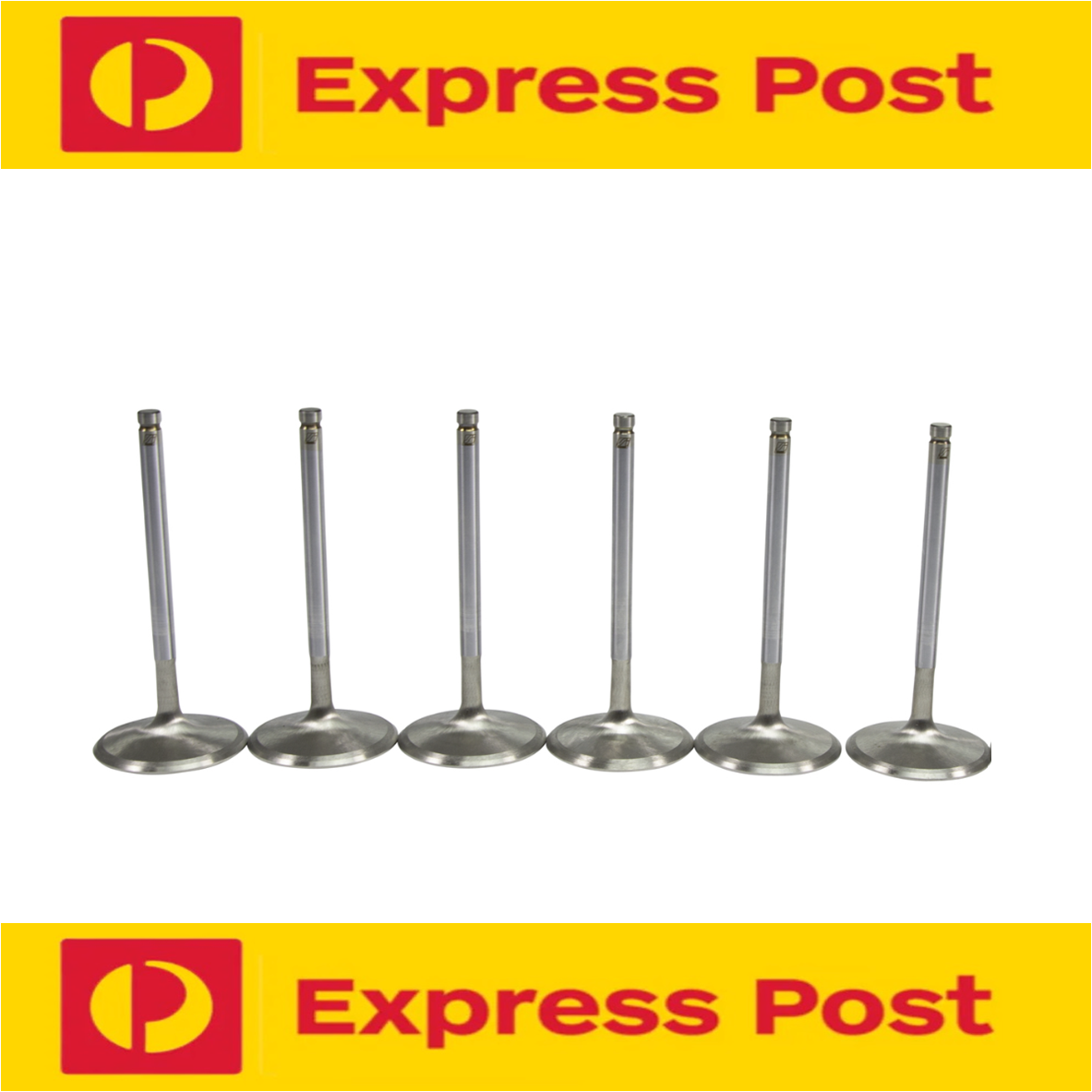 Exhaust Valve Set FOR Holden Commodore VN VP VR VS 3.8L V6 1988-1997