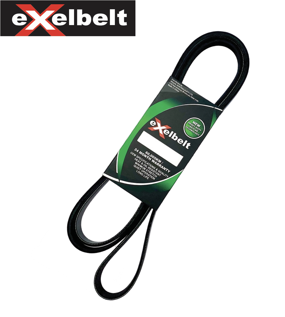 Serpentine Fan Drive Belt Fit for Holden Commodore VY V6 3.8L 2002-2004 6PK2815