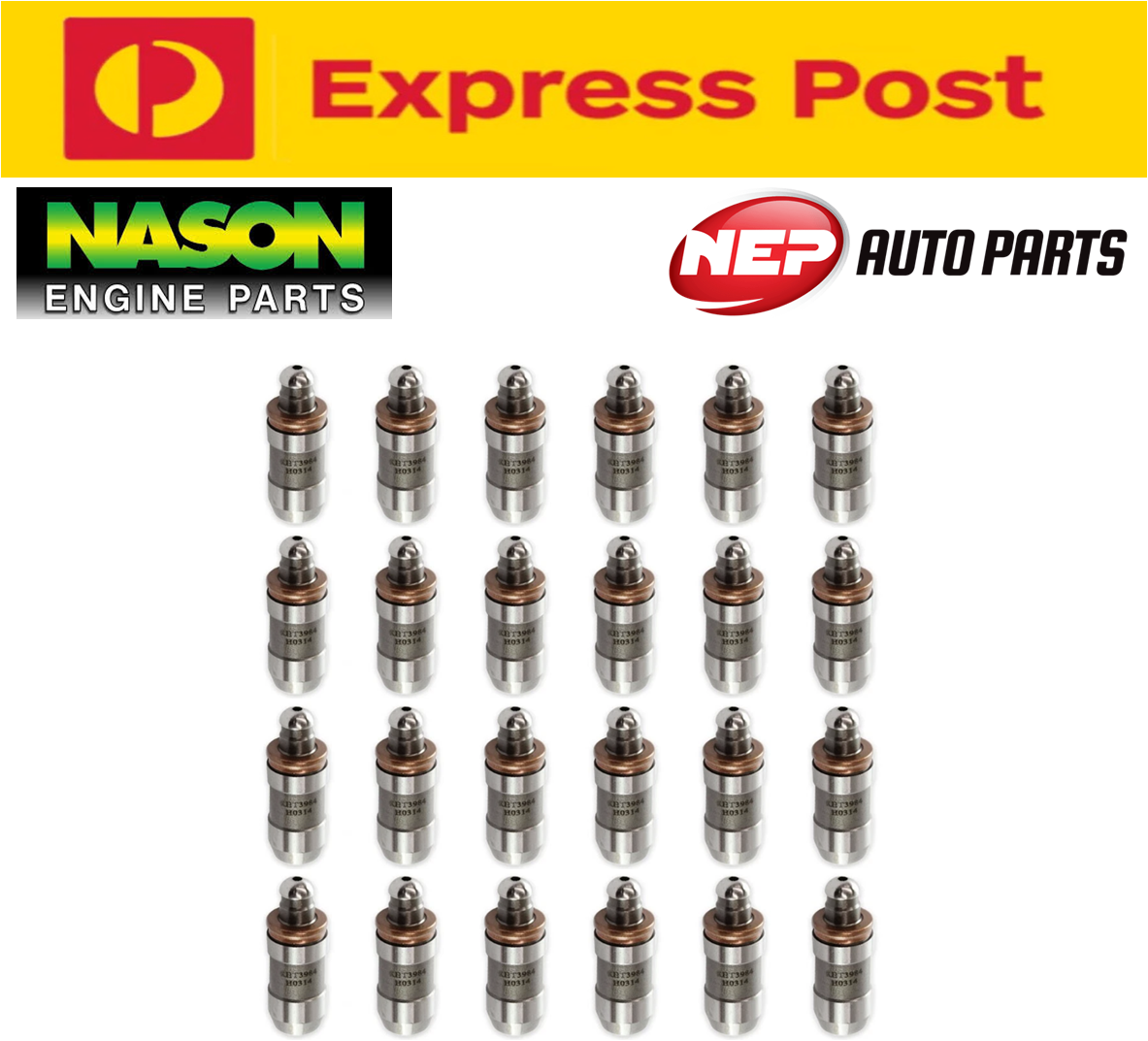 Hydraulic Lifters Set of 24 for Ford BA BF FG Falcon Barra 4.0L 6 Cyl
