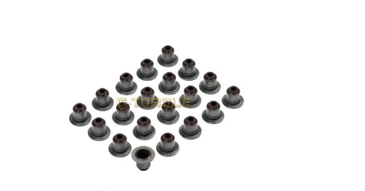 Valve Stem Oil Seal Set for Ford Ranger PX 3.2L P5AT Diesel 9/11-6/22