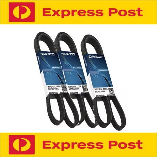 FAN DRIVE BELT V BELT SET for NISSAN PATROL GQ TB42S CARBY Petrol 4.2L 1988-1995