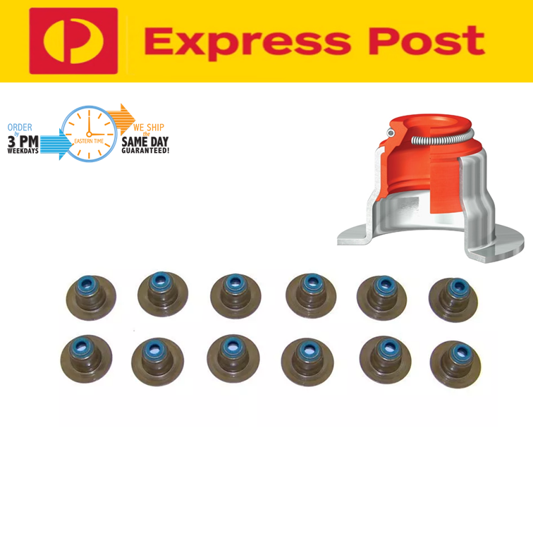 Valve Stem Seal x12 For Jeep Cherokee KK KJ 3.7L V6 EKG Dodge Nitro EXPRESS POST