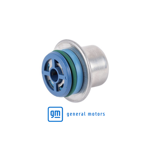 GM Fuel Pressure Regulator Holden Statesman Caprice V8 WH WK WL 5.7 LS1 19352331