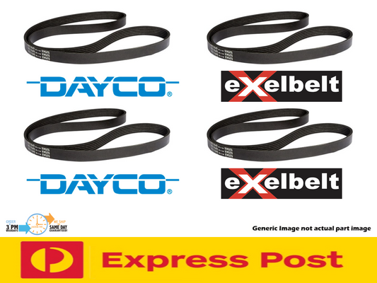 Fan Belt Kit (4) for Nissan Navara D22 2.5 Diesel 02/08-Onw. YD25DDT 2.5L