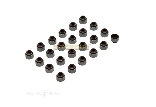 Valve Stem Oil Seal Set for Holden Rodeo RA TFR26 TFS26 6VE1 3.5L