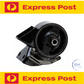 PREMIUM REAR ENGINE MOUNT FOR HYUNDAI TUCSON JM D4EA TURBO DIESEL 2.0L I4
