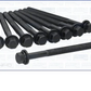 Cylinder Head Bolt Set for Holden Captiva CG 2.2L Diesel Z22D1 11-19