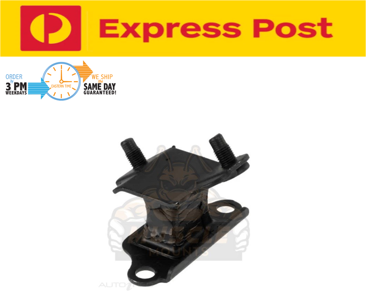PREMIUM Lower Transmission Mount HONDA Accord CM6 J30A4 3.0L V6 8/03-2/08 Auto