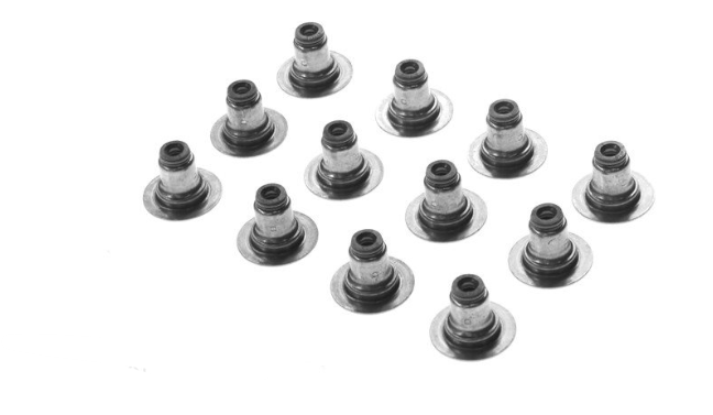 Exhaust Valve Stem Oil Seal for Holden Commodore VF LFX 3.6L 05/13-10/17