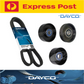 Drive Fan Belt +Idler Pulley Kit For Toyota Hilux KUN16 KUN26 3.0 1KD-FTV Diesel