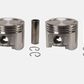 Piston Set Kit for Holden Captiva CG 2.0L Diesel Z20S1 07-10