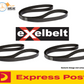 Fan Belt Kit (3) for Nissan Terrano R20 TD27Ti 03/1997-06/2000 Turbo Diesel