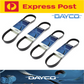 Dayco A/C & Alternator & P/S Drive Belt Kit for Holden Rodeo RA 3.0L 4JH1-TC