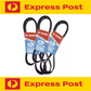 FAN DRIVE V BELT SET for NISSAN PATROL GQ Y60 GU Y61 TD42 4.2L DIESEL 87-09/2007