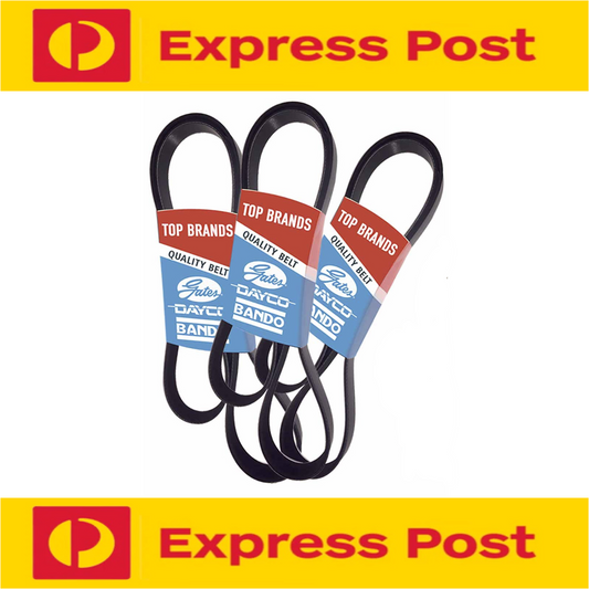 FAN DRIVE V BELT SET for NISSAN PATROL GQ Y60 GU Y61 TD42 4.2L DIESEL 87-09/2007