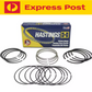 Hastings Piston Rings Moly STD suits Ford 302 351 Cleveland Performance