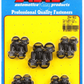 ARP Oil Pan Bolt Kit Hex Head for Ford 289 302 351 Windsor 302 351 Cleveland V8