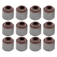 VALVE STEM SEAL X12 for HOLDEN COMMODORE 3.8 ECOTEC VS VT CALAIS STATESMAN WH WK