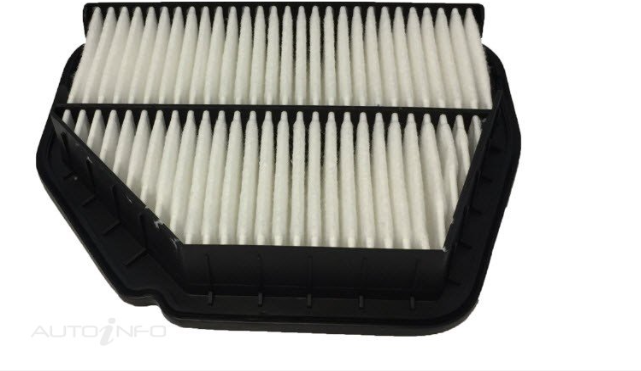 Air Filter for Holden Captiva CG 2.4L LE9 12-19