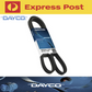DAYCO Fan Belt for Ford F250 F350 RM 4.2 T Diesel 8/01-4/04 6.0706 F-250 F-350