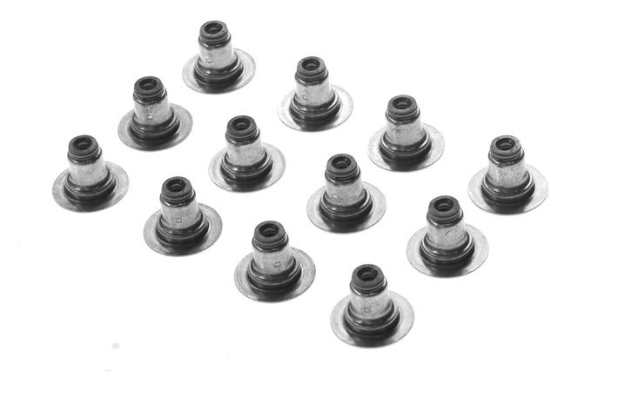 Inlet Valve Stem Oil Seal Set for Holden Commodore VE LY7 3.6L 03/08-04/13