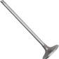 Intake Valve for Subaru Tribeca 3.6L W10 WX EZ36D 07-13