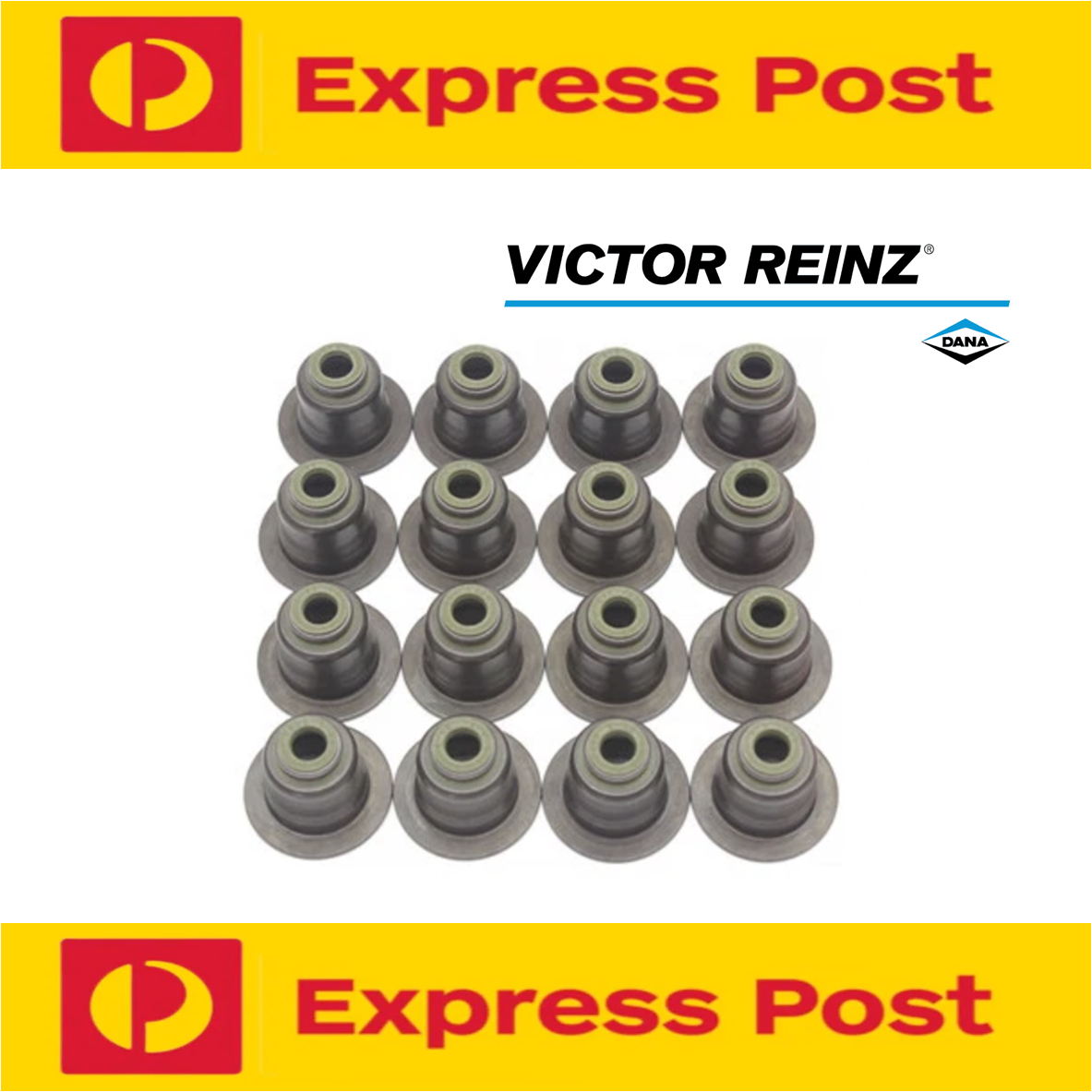 BMW Valve Stem Seal Kit E46 318i E87 120i E90 320i N42 N46 N46N E60 X1 X3 X5 N62