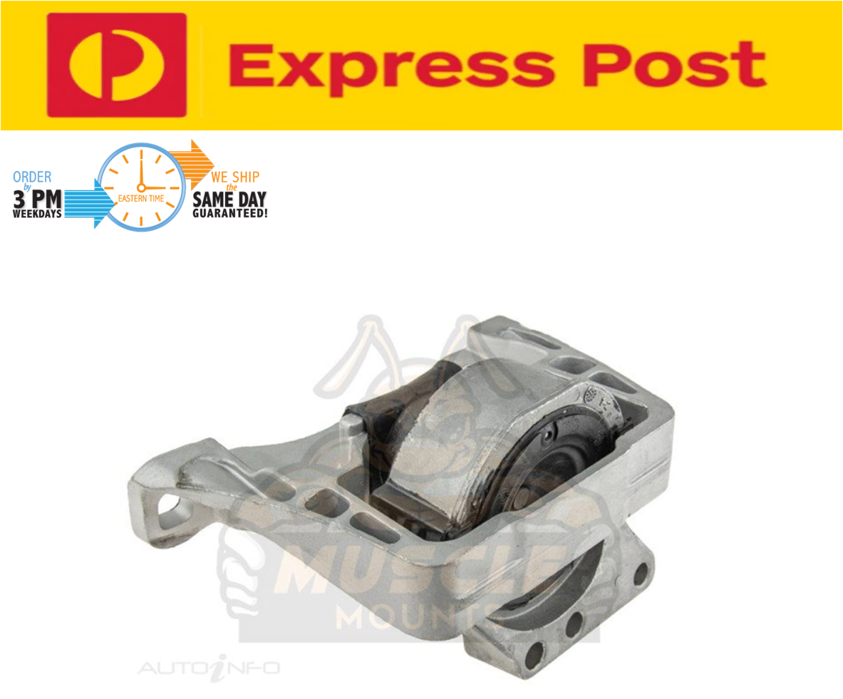 RH Right Engine Mount For FORD Focus ST Ecoboost R9DD 2.0L Manual 10/12-9/15