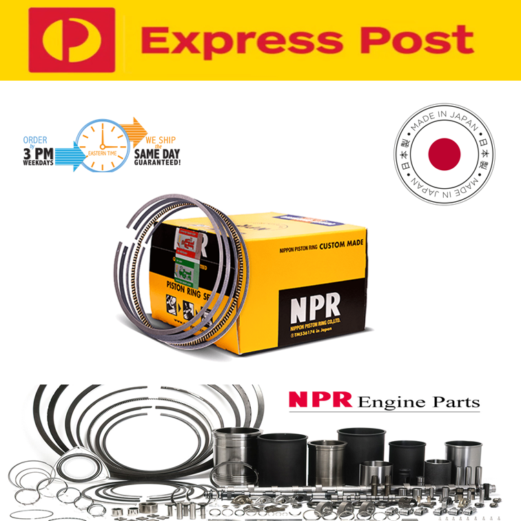 Piston Rings for Holden Commodore VR VS VT VX VY 3.8 Ecotec V6 .040 Oversize