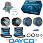 TIMING BELT KIT & WATER PUMP for Ford Territory 2.7L Turbo Diesel SZ 276DT