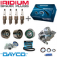 TIMING BELT KIT, WATER PUMP + IRIDIUM PLUGS for Subaru Forester 2.5L EJ253