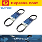 Dayco Alternator & P/S Drive Belt Kit for Mitsubishi Triton MQ 2.4L 94kW