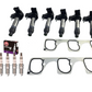 Ignition Coils RUTHENIUM NGK Spark Plugs Holden Commodore VE VF VZ 3.0L 3.6L V6
