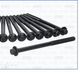 Cylinder Head Bolt Set for Mazda CX5 CX-5 KE 2.2L Diesel 12-18