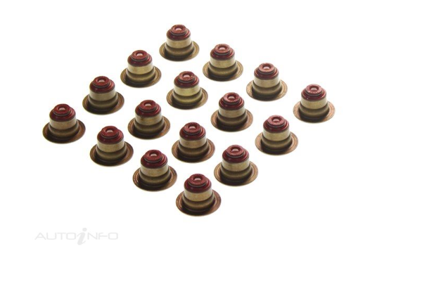 Valve Stem Oil Seal Set Kit for Holden Captiva CG 2.2L Diesel Z22D1 11-19