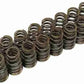 Valve Spring Set (16) FOR HYUNDAI G4FK 1.5L EXCEL TWIN CAM X3 98-00