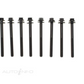 Cylinder Head Bolt Set for Dodge Journey JC 3.6L ERB 12-17 (1/2 Engine Set)